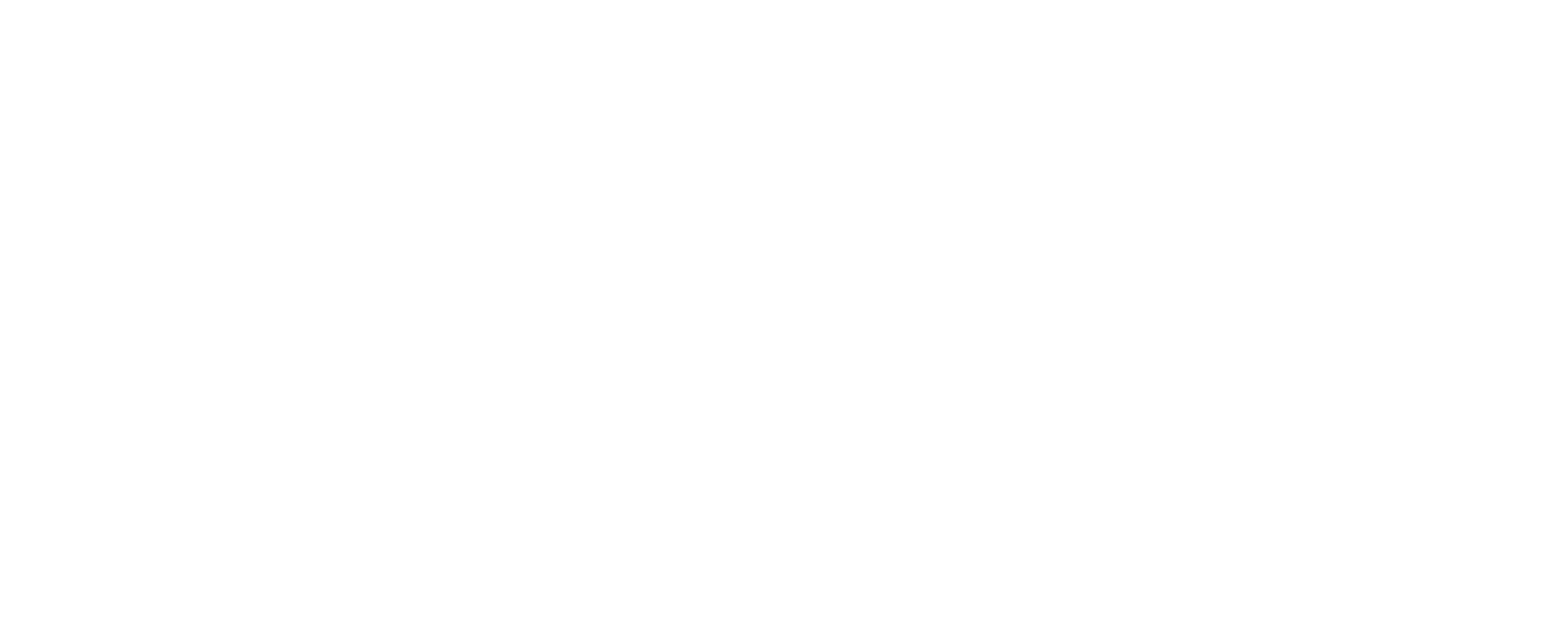 Dive Venezuela Logo
